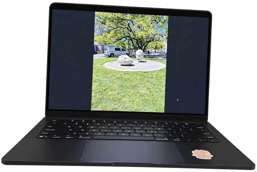 Emily’s open laptop displaying a photograph of UC Davis’s Egghead sculptures.